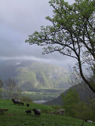 image from skambankt.com